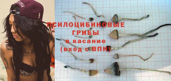 a pvp Вязники