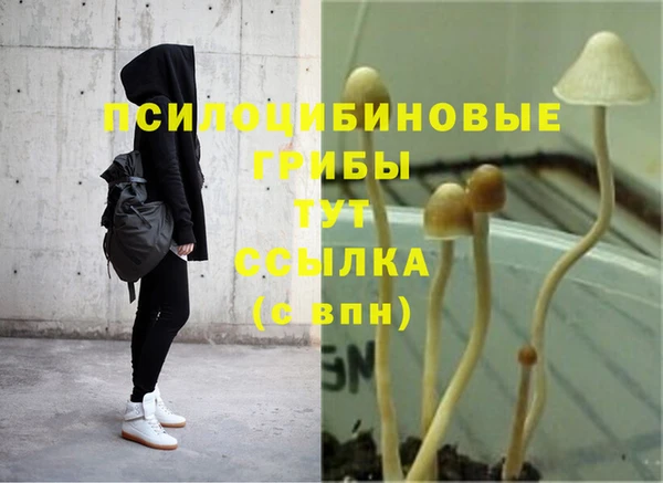 каннабис Вязьма