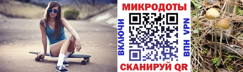 Псилоцибиновые грибы GOLDEN TEACHER  Купить  Таруса 